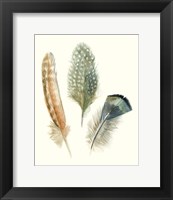 Framed Watercolor Feathers I
