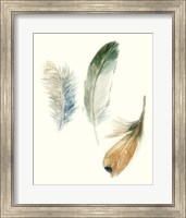 Framed 'Watercolor Feathers II' border=