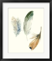 Watercolor Feathers II Framed Print