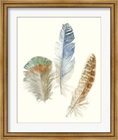 Framed Watercolor Feathers III