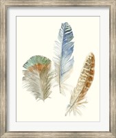 Framed Watercolor Feathers III