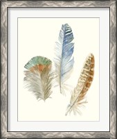 Framed 'Watercolor Feathers III' border=