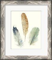 Framed 'Watercolor Feathers IV' border=