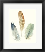 Framed Watercolor Feathers IV