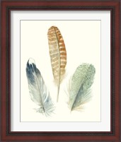 Framed 'Watercolor Feathers IV' border=