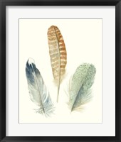 Watercolor Feathers IV Framed Print