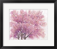 Framed Pink Cherry Blossom Tree I