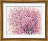 Framed Pink Cherry Blossom Tree II