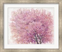 Framed Pink Cherry Blossom Tree II