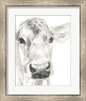 Framed Farm Faces I