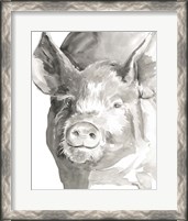 Framed Farm Faces III