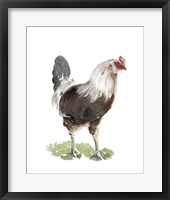 Chicken Dance I Framed Print
