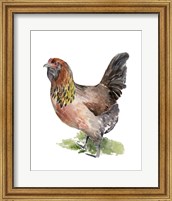 Framed Chicken Dance II