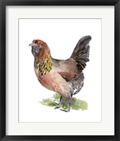 Chicken Dance II Framed Print