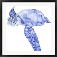 Framed Ultramarine Sea Turtle I