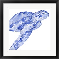 Framed 'Ultramarine Sea Turtle II' border=
