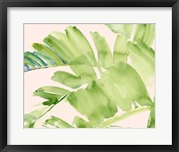 Peachy Palms II Framed Print