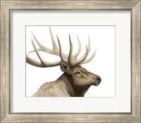 Framed Call of the Elk I