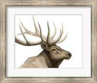 Framed Call of the Elk I