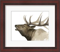 Framed Call of the Elk II