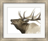 Framed Call of the Elk II