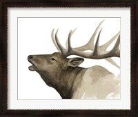 Framed Call of the Elk II