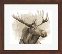 Framed Bull Moose I