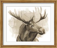 Framed Bull Moose I