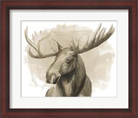 Framed Bull Moose II