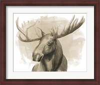 Framed Bull Moose II