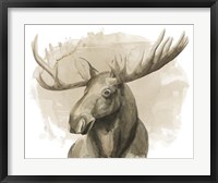 Framed Bull Moose II