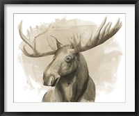 Bull Moose II Framed Print
