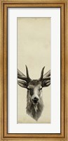 Framed Triptych Elk II