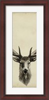 Framed Triptych Elk II