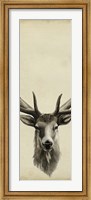 Framed Triptych Elk II