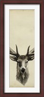 Framed Triptych Elk II