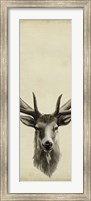 Framed Triptych Elk II