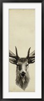 Framed Triptych Elk II