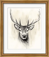 Framed Timberland Animals I