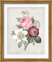 Framed Bouquet IV
