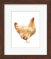 Framed 'Autumn Chicken I' border=