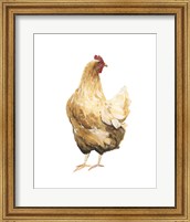 Framed Autumn Chicken III