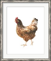 Framed Autumn Chicken IV