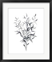 Paynes Grey Botanicals I Framed Print