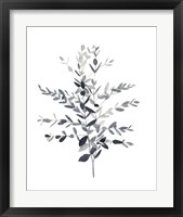 Framed 'Paynes Grey Botanicals II' border=