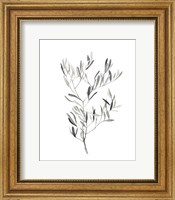 Framed Paynes Grey Botanicals IV