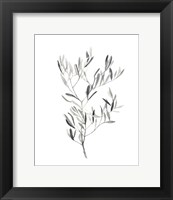 Framed Paynes Grey Botanicals IV