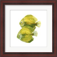 Framed Discus Fish II