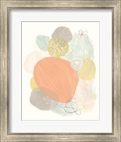 Framed 'Abstract Succulents I' border=