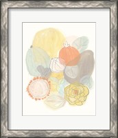 Framed 'Abstract Succulents II' border=